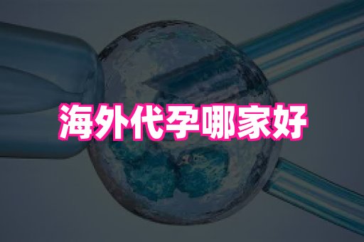 哈尔滨助孕网 3