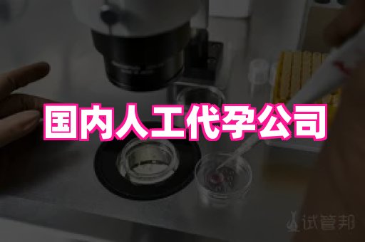 哈尔滨助孕网 4